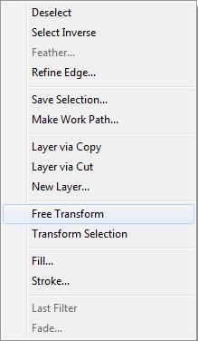 Free transform
