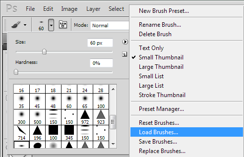 Brush displayed with PS brush panel